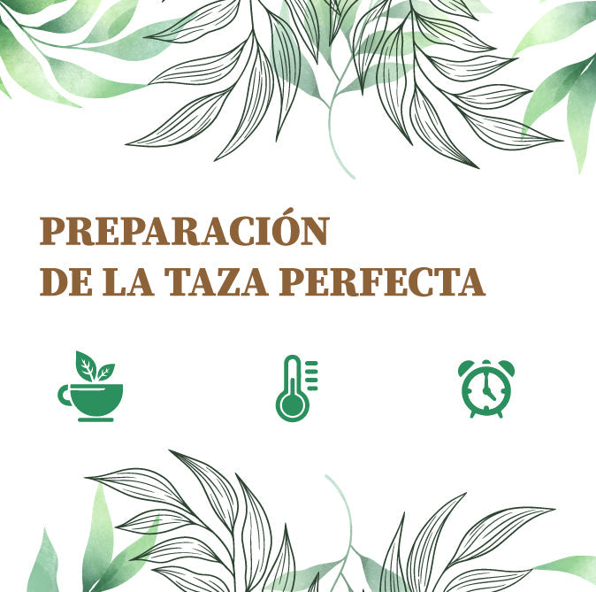 Prepara la taza perfecta