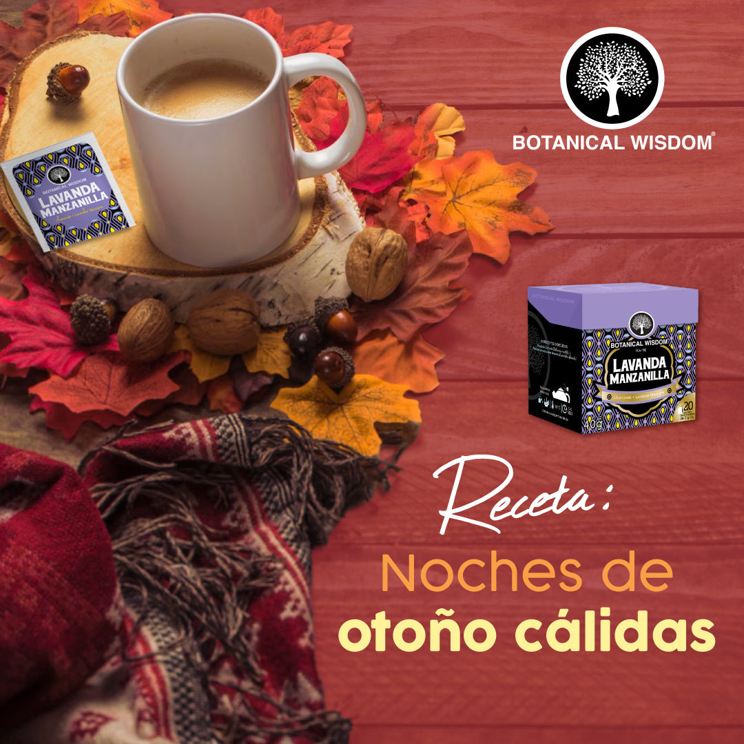 Noches cálidas de Otoño
