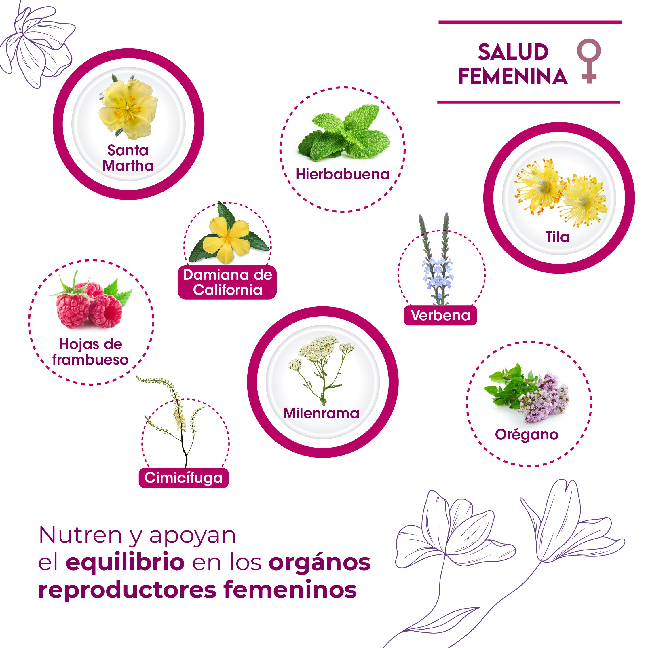 Salud Femenina