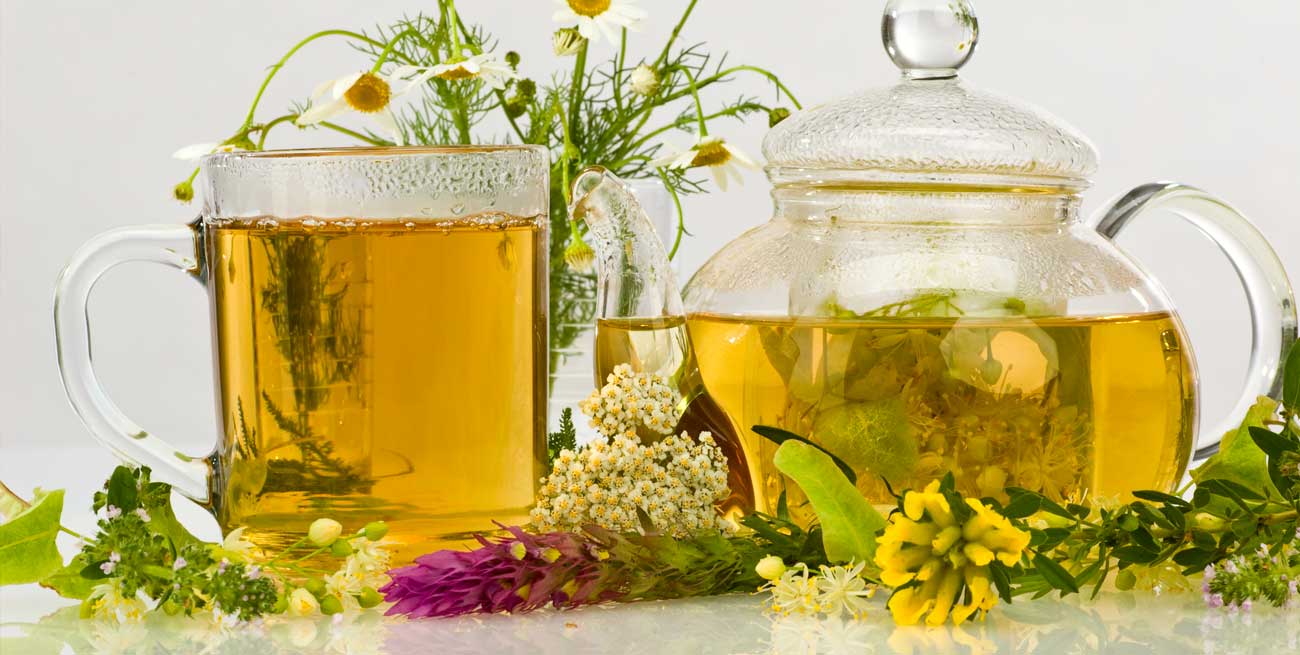 Fuerza Herbal