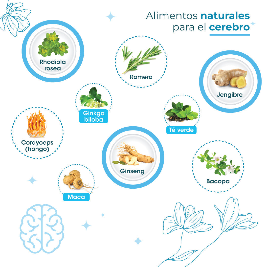 Alimentos naturales para el cerebro