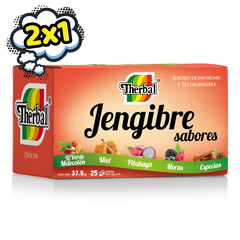 Jengibre SABORES 25s