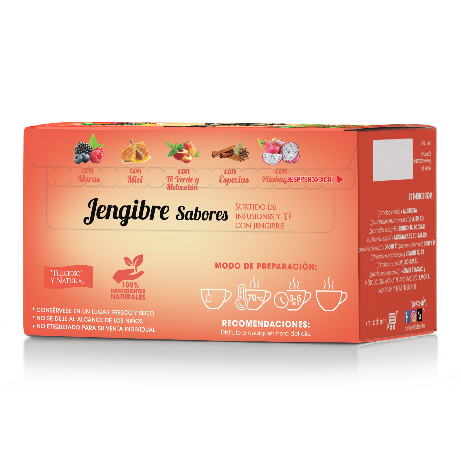 Jengibre SABORES 25s