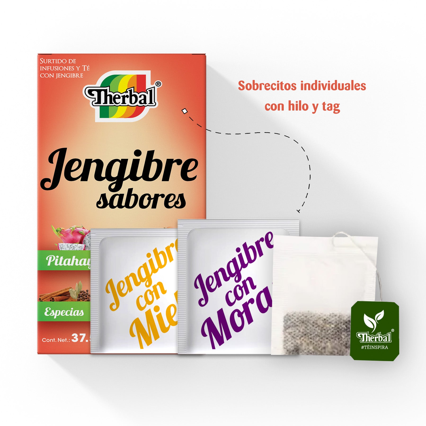 Jengibre SABORES 25s