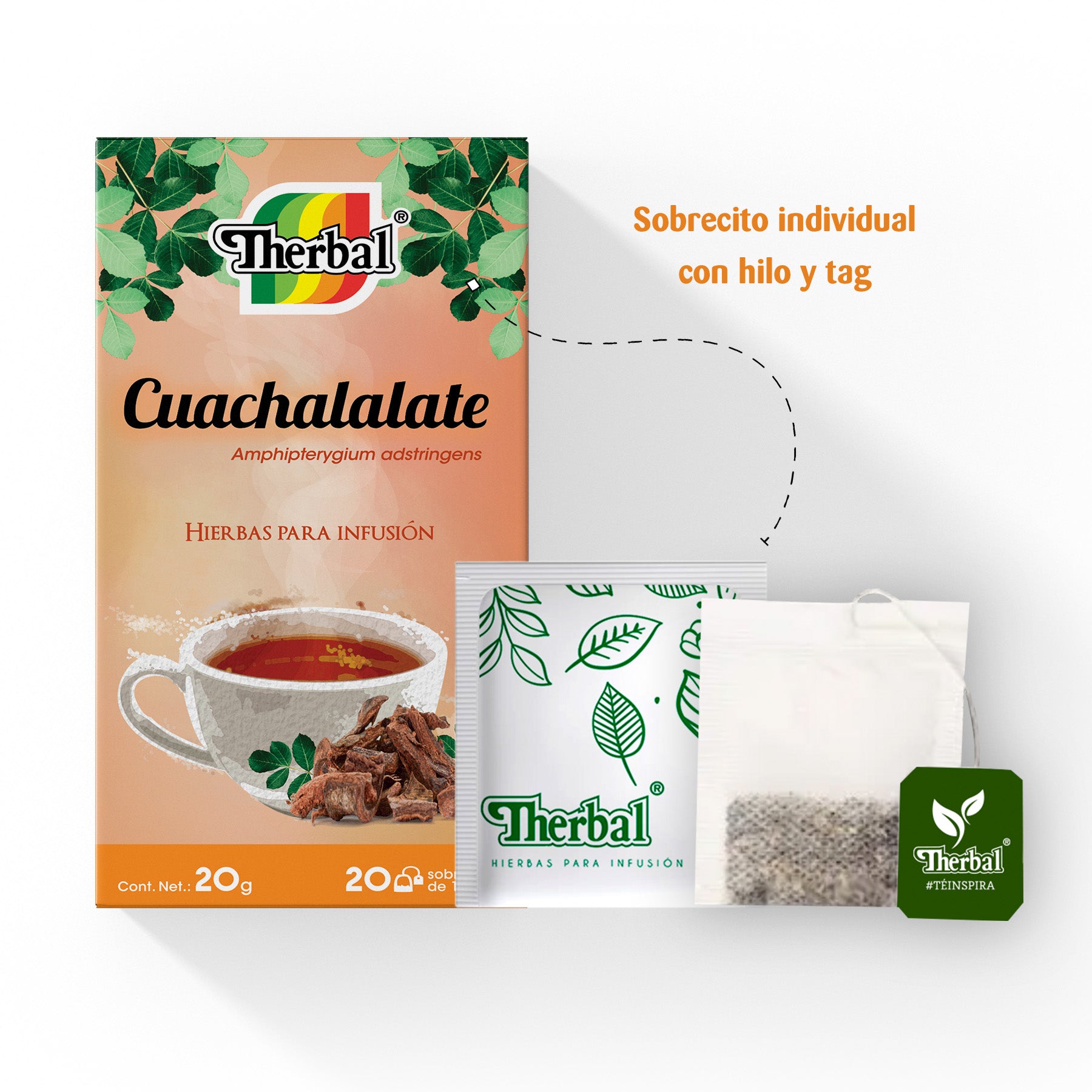 Cuachalalate